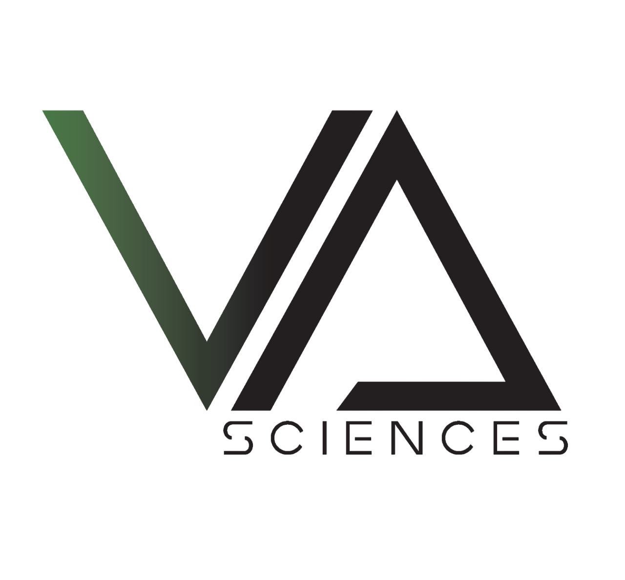Logo Black